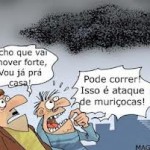 muriçocas
