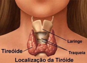 TIREOIDE